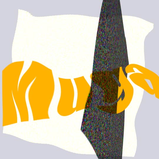 Mugaジャケット
